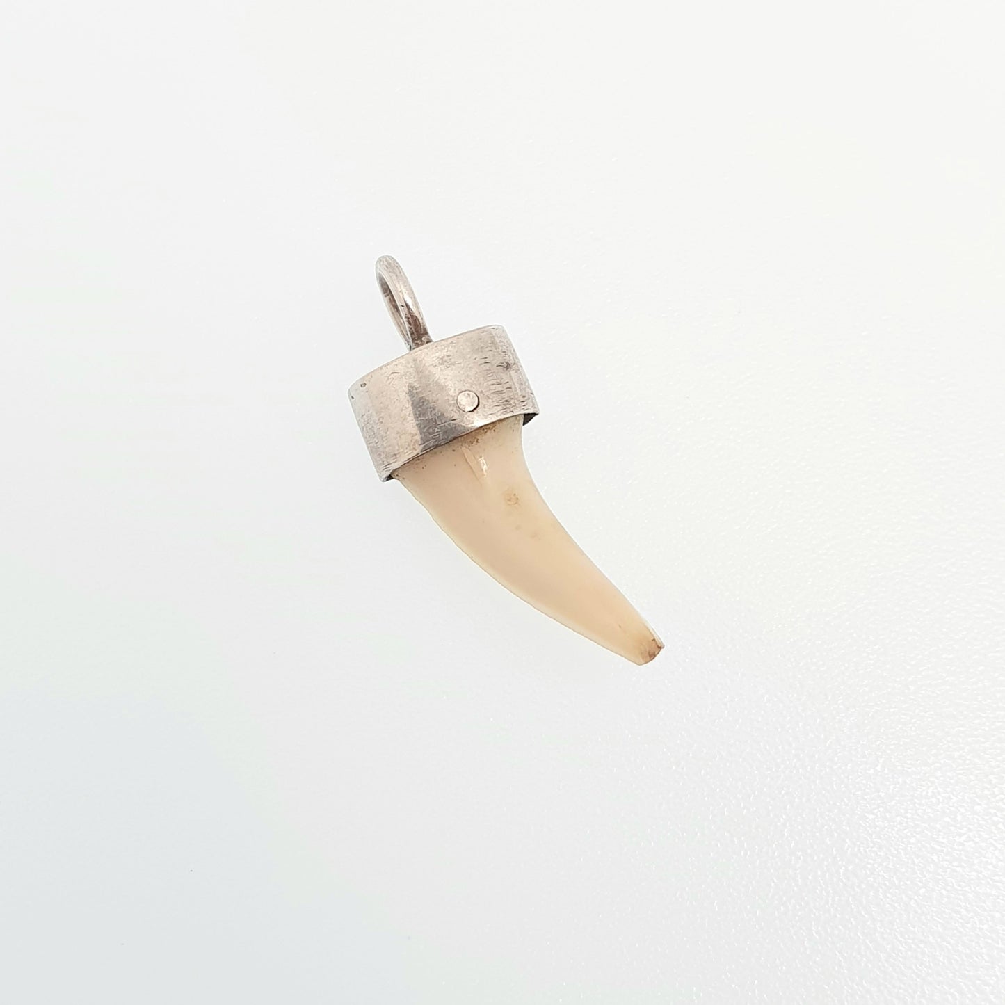 Antique Victorian Solid Silver Claw Fang Pendant Necklace Tooth Animal Teeth Vintage Rare Unique Jewelry Jewellery Mens Womens
