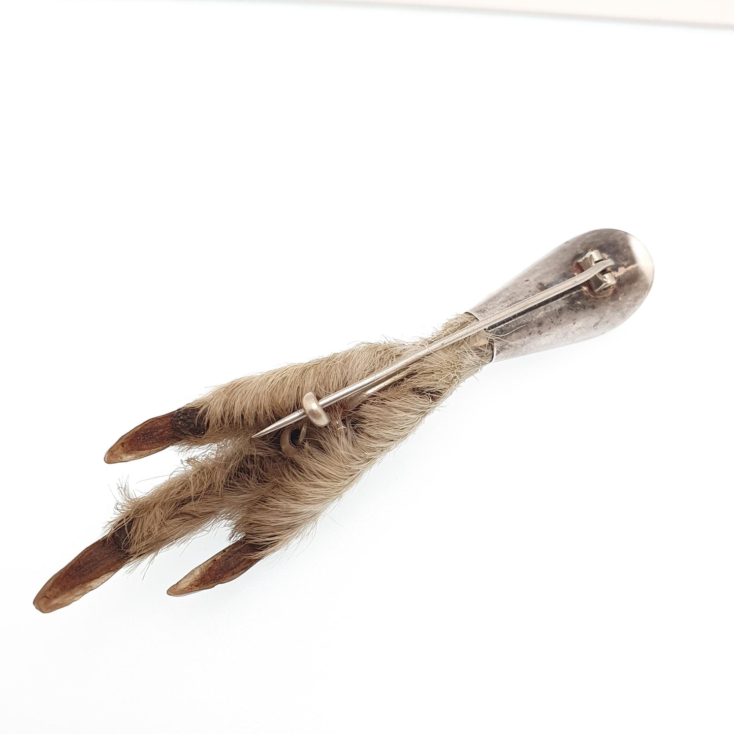 Antique Victorian Grouse Foot Brooch Solid Silver Pin Scottish High Quality Large Bird Claw Genuine Real Mens Womens Highlands Jewelry