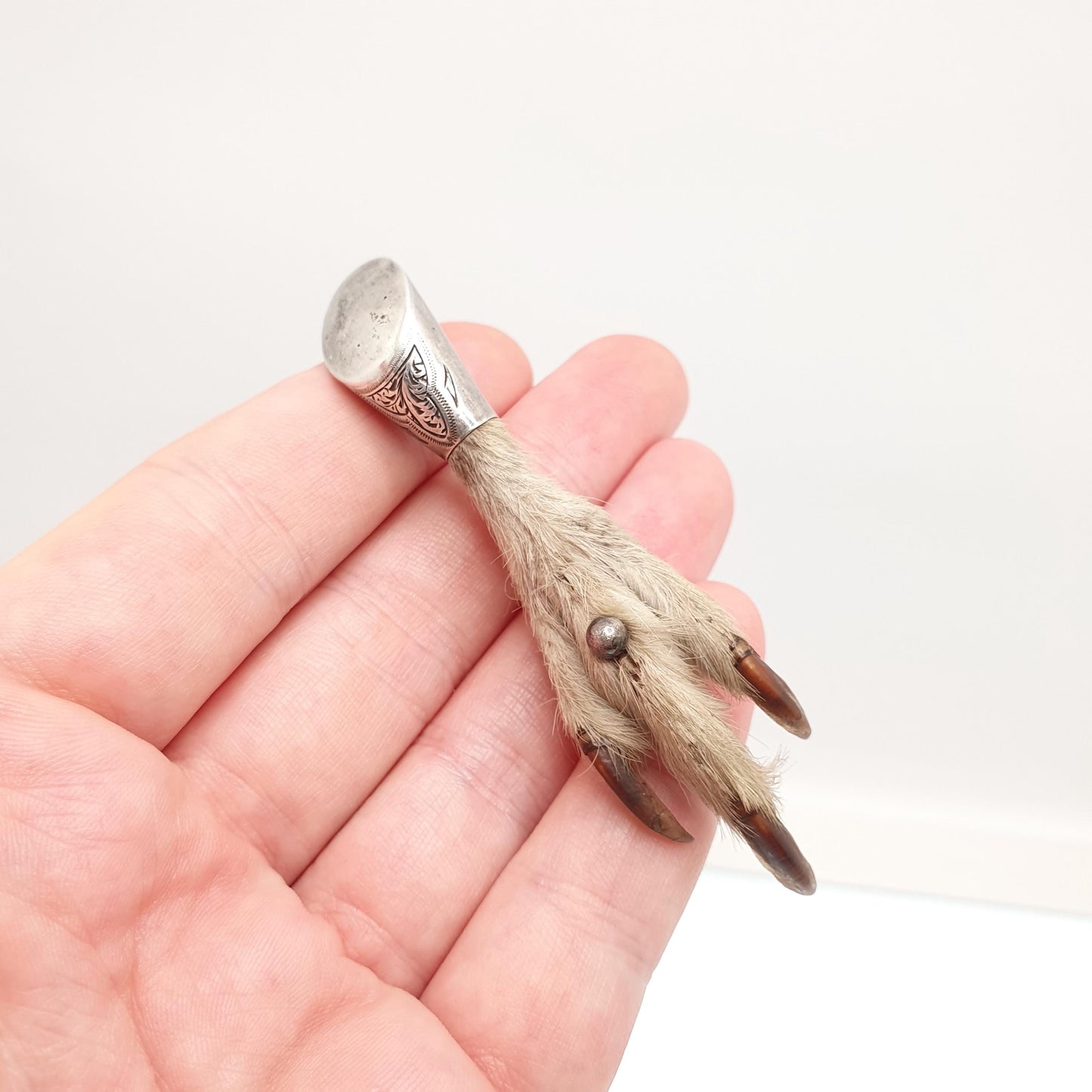 Antique Victorian Grouse Foot Brooch Solid Silver Pin Scottish High Quality Large Bird Claw Genuine Real Mens Womens Highlands Jewelry