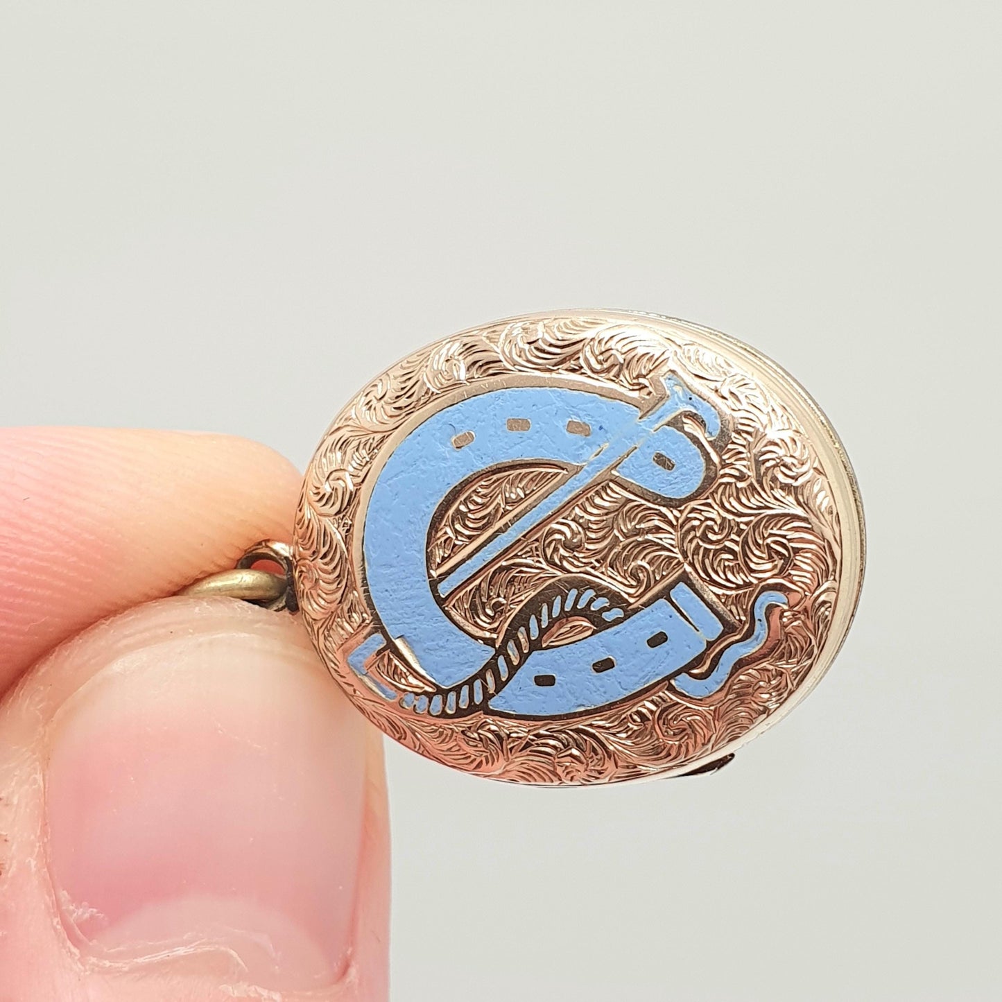 Antique Victorian 9ct 9k Gold Locket Horseshoe Sky Blue Enamel Necklace Pendant Solid Back & Front Good Luck Lucky Womens Jewelry Jewellery