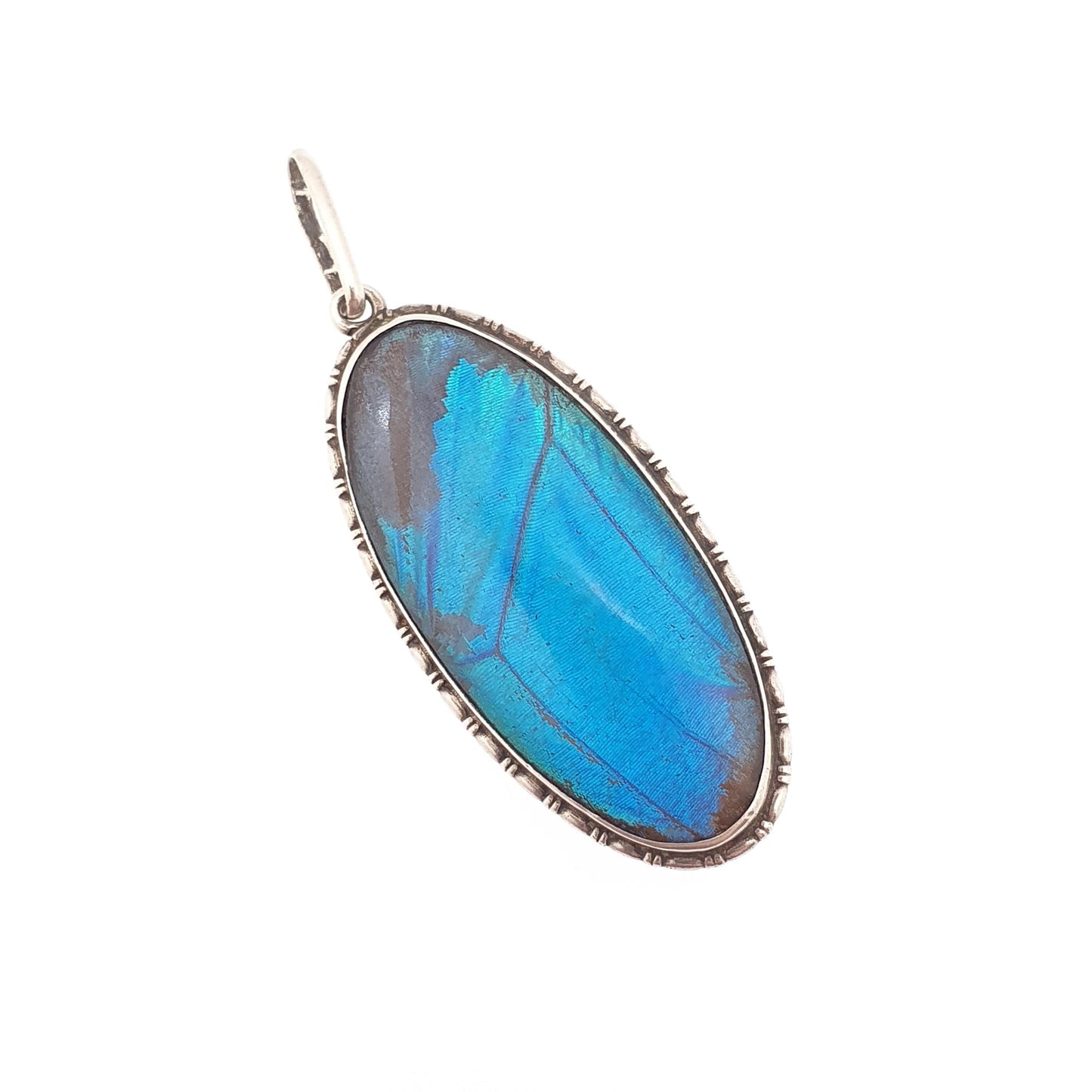 Antique Sterling Silver Butterfly Wing Necklace Pendant Large Oval Art Deco Round Vintage 1920s Blue Bug Fly Insect Jewelry Jewellery Womens