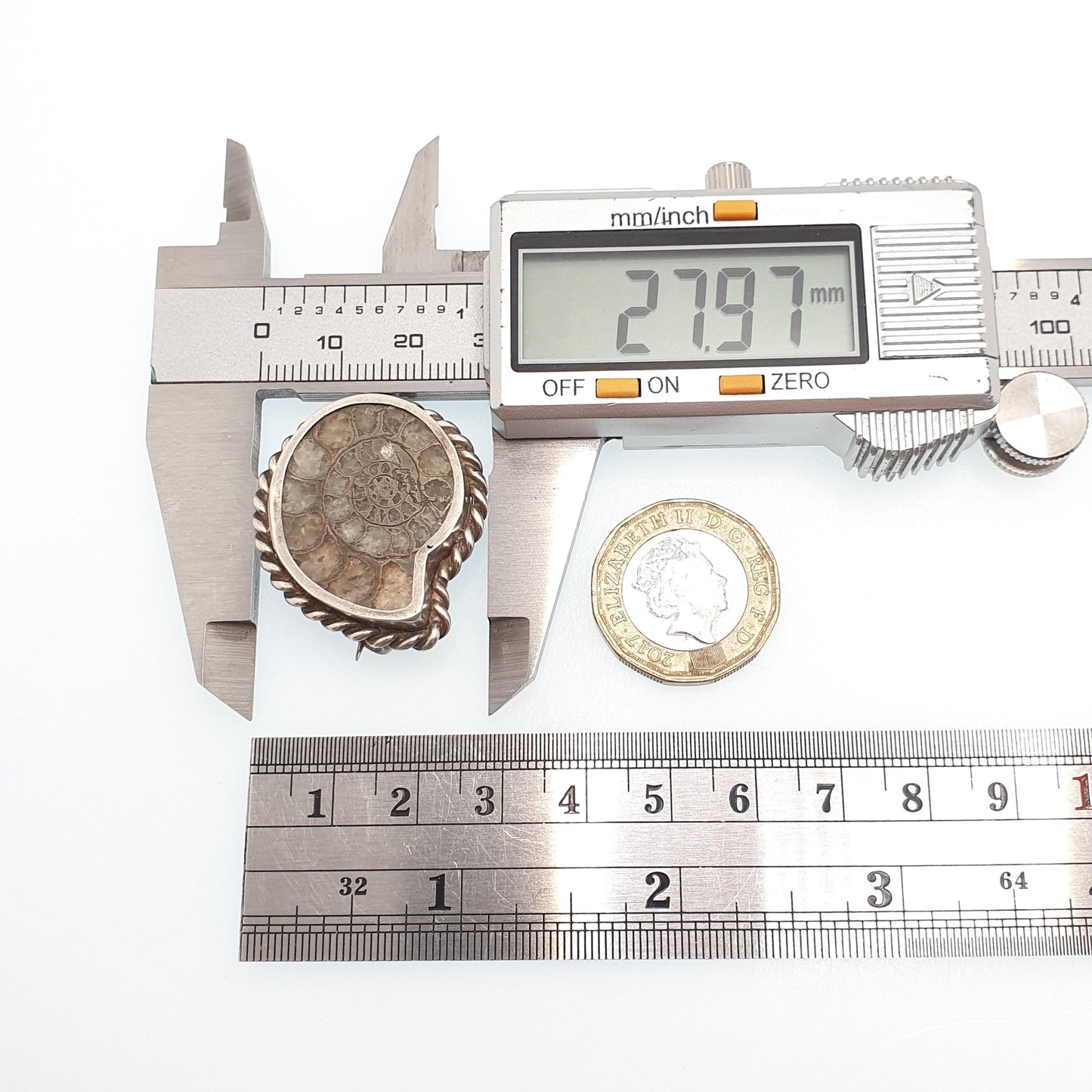 Antique Victorian Ammonite Fossil Brooch Pin Solid Silver Rope Border Curios Unique Ancient Sea Creature Genuine