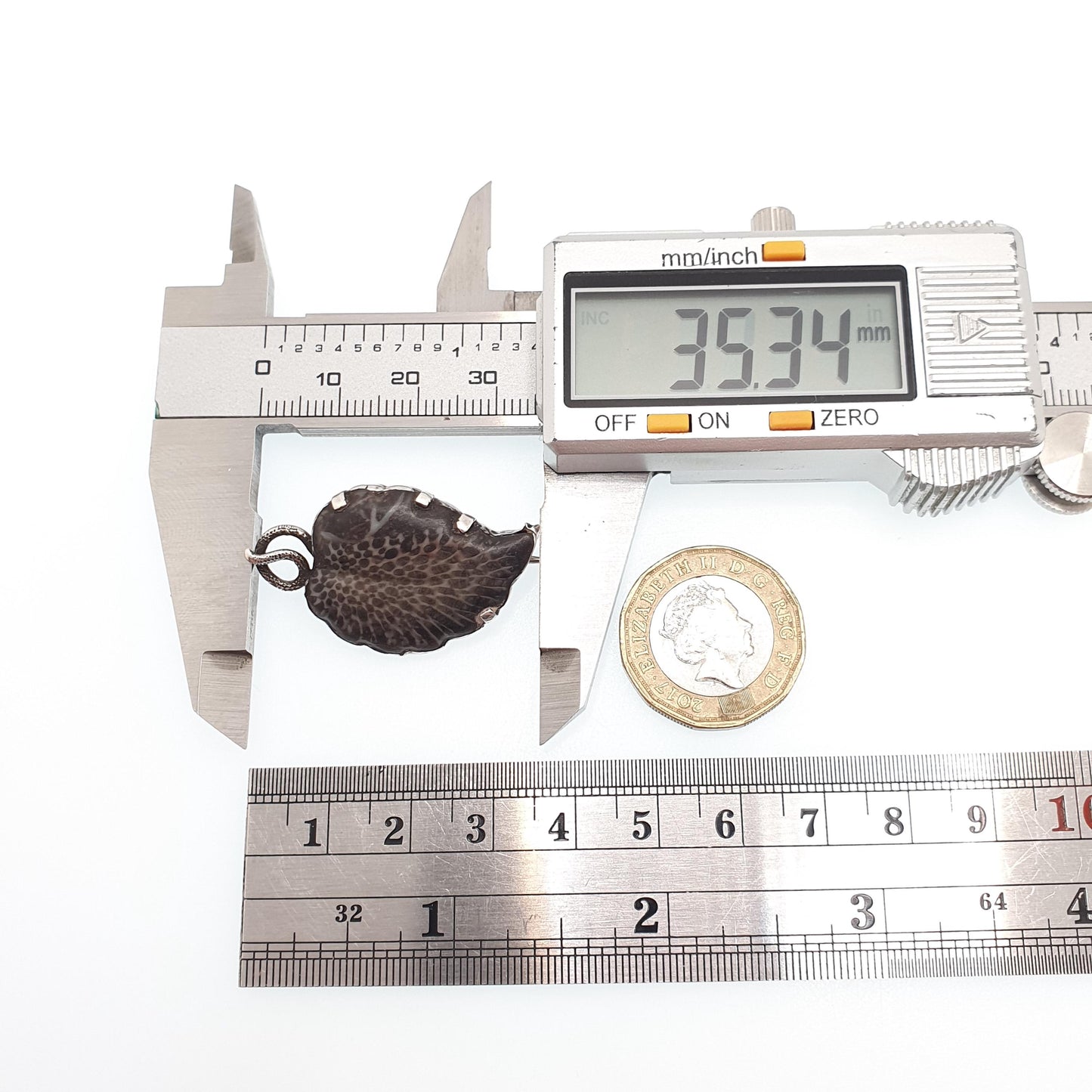 Antique Solid Silver Fossil Leaf Brooch Pin Victorian Curios Unique Ancient Genuine Real Vintage Jewellery Jewelry
