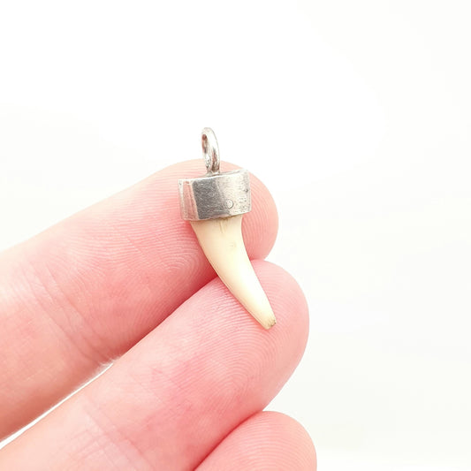 Antique Victorian Solid Silver Claw Fang Pendant Necklace Tooth Animal Teeth Vintage Rare Unique Jewelry Jewellery Mens Womens