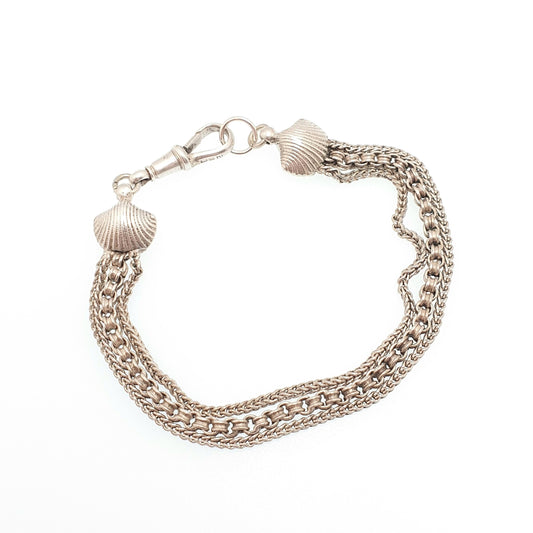 Antique Solid Silver Albertina Bracelet Seashell Shell Ends Rolo Belcher Foxtail Link Chain 14.16g 20.5cm Vintage Womens Jewelry Jewellery