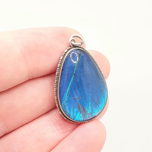 Antique Sterling Silver Butterfly Wing Necklace Pendant Large Pear Art Deco Round Vintage 1920s Blue Bug Fly Insect Jewelry Jewellery Womens