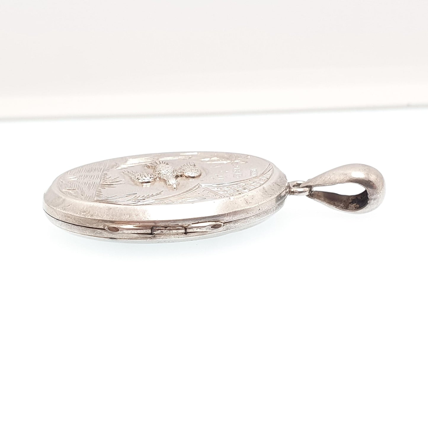 Antique Victorian Sterling Silver Bird Locket Flying Duck Goose Scene 1881 Hallmark Pendant Huge Big Picture Photo Vintage Jewelry Jewellery