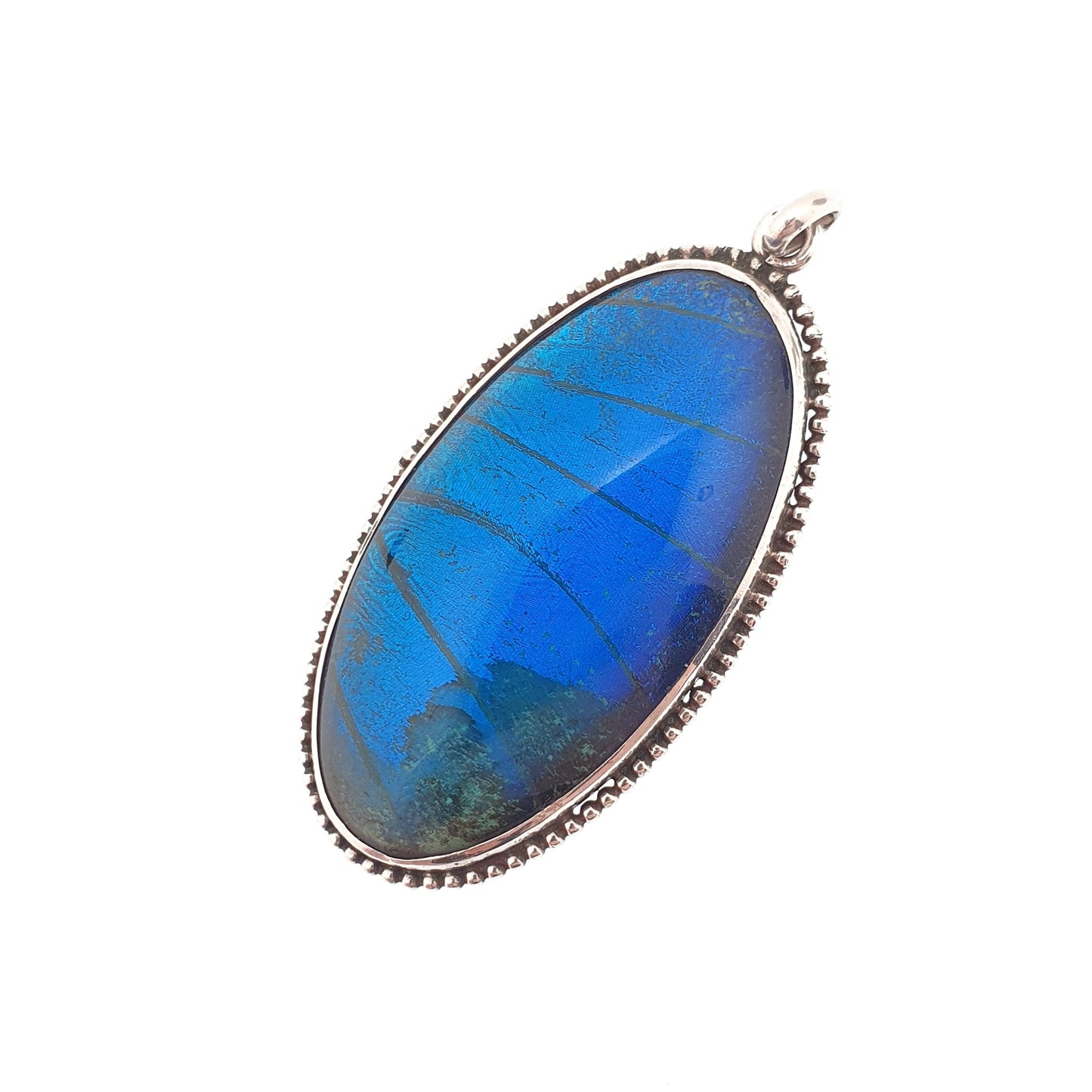 Antique Solid Silver Butterfly Wing Necklace Pendant Large Oval Art Deco Round Vintage 1920s Blue Bug Fly Insect Jewelry Jewellery Womens