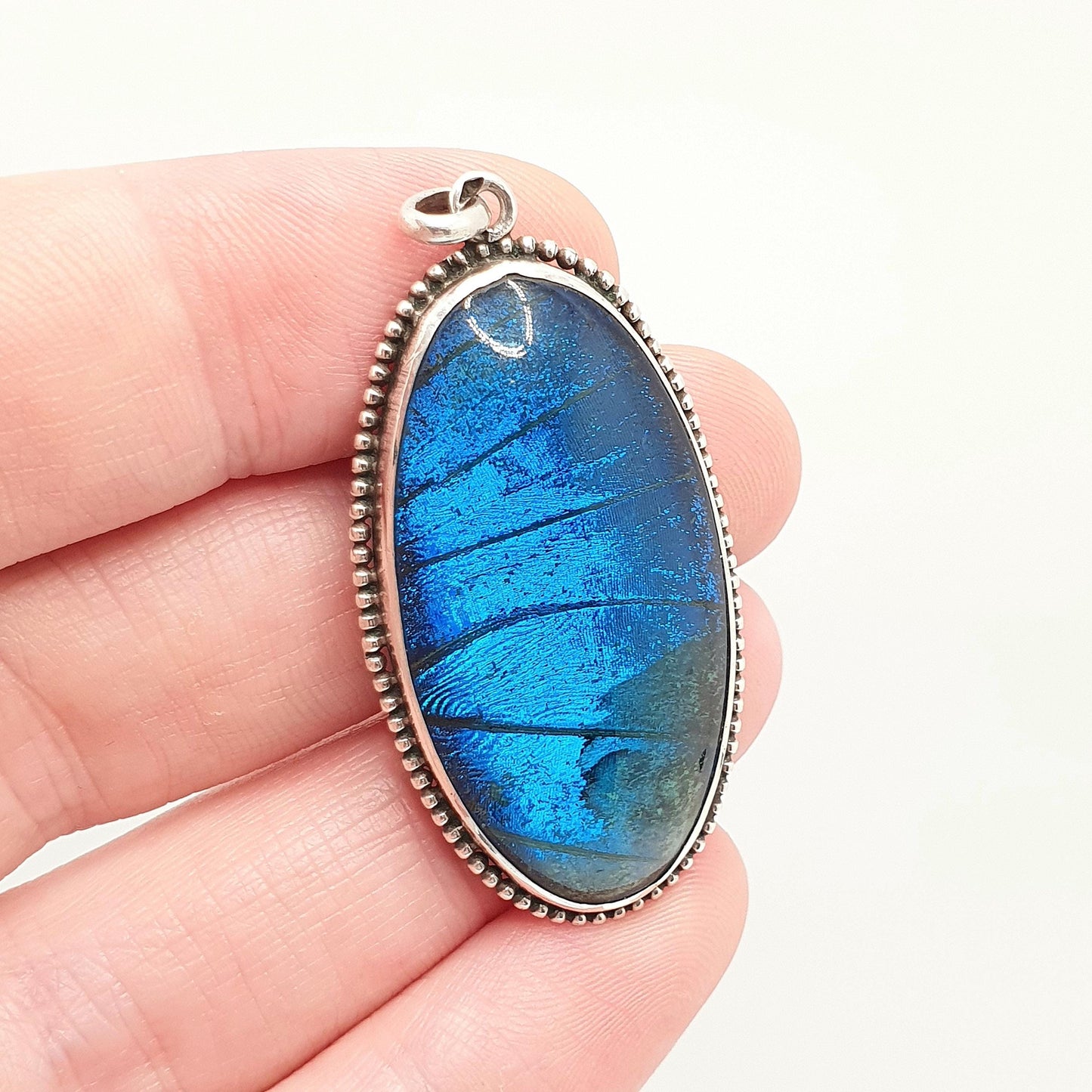 Antique Solid Silver Butterfly Wing Necklace Pendant Large Oval Art Deco Round Vintage 1920s Blue Bug Fly Insect Jewelry Jewellery Womens