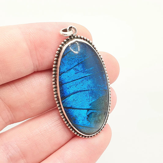 Antique Solid Silver Butterfly Wing Necklace Pendant Large Oval Art Deco Round Vintage 1920s Blue Bug Fly Insect Jewelry Jewellery Womens