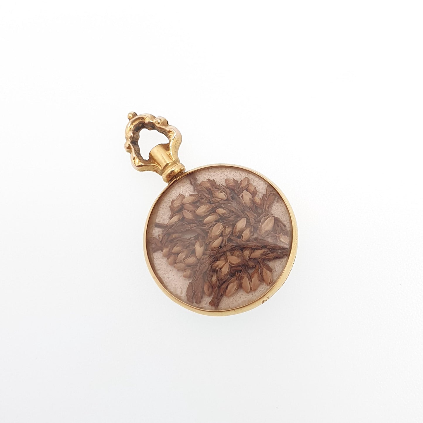 Antique 9ct Gold Locket Pendant Necklace 1905 Hallmark Dried Flowers Solid 375 Yellow 9k 9kt Vintage Photo Picture Glass Jewelry Jewellery