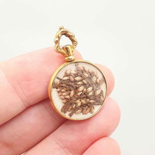 Antique 9ct Gold Locket Pendant Necklace 1905 Hallmark Dried Flowers Solid 375 Yellow 9k 9kt Vintage Photo Picture Glass Jewelry Jewellery
