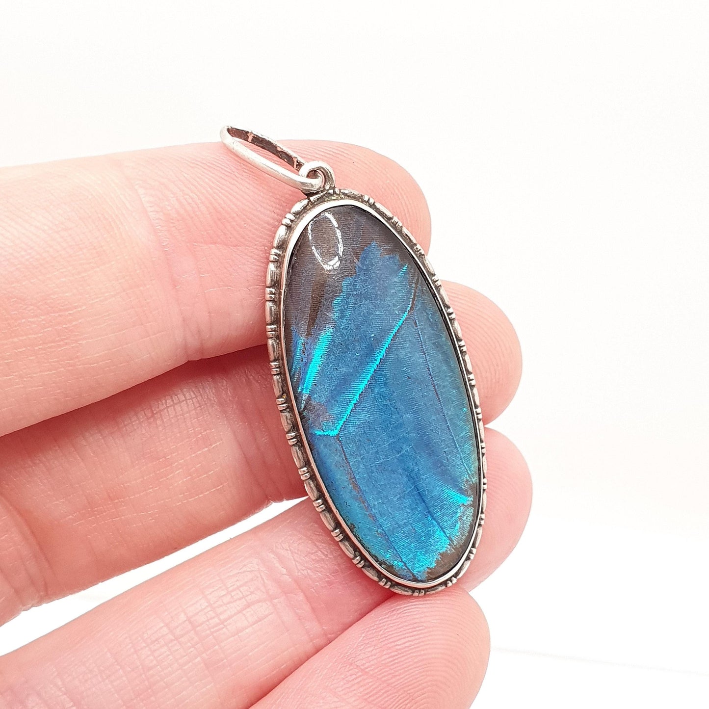 Antique Sterling Silver Butterfly Wing Necklace Pendant Large Oval Art Deco Round Vintage 1920s Blue Bug Fly Insect Jewelry Jewellery Womens