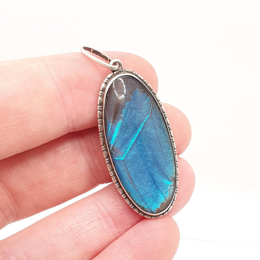 Antique Sterling Silver Butterfly Wing Necklace Pendant Large Oval Art Deco Round Vintage 1920s Blue Bug Fly Insect Jewelry Jewellery Womens