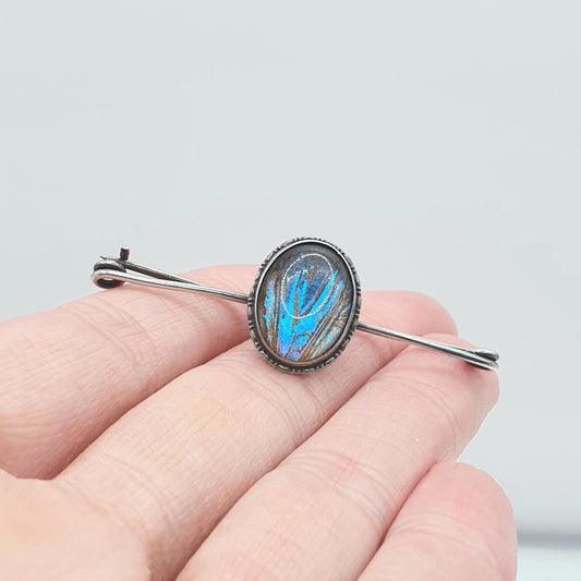Antique Sterling Silver Blue Butterfly Wing Brooch Morpho Oval Safety Pin Womens Jewelry Vintage Insect Jewellery