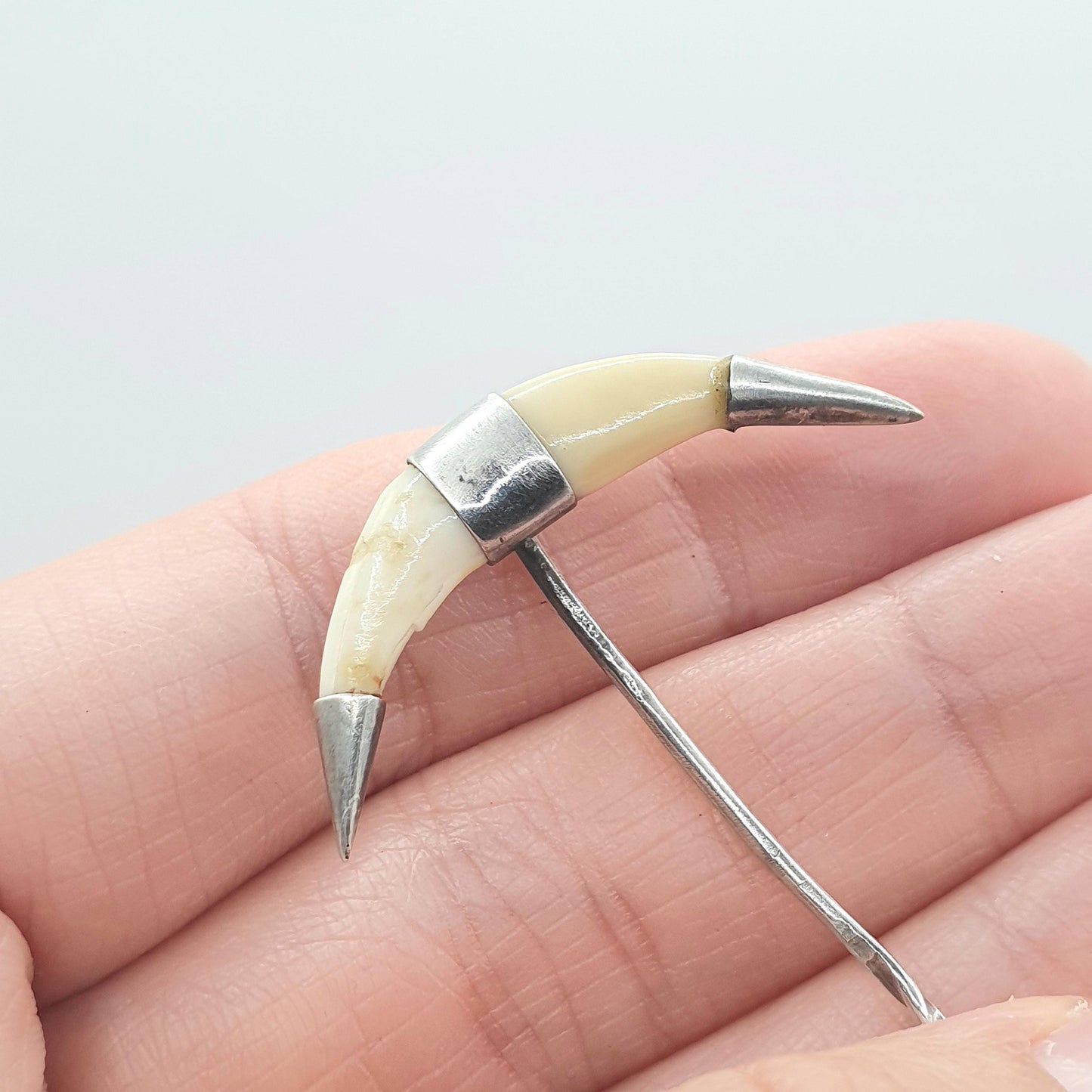 Antique Victorian Solid Silver Tooth Claw Stick Pin Lapel Pin Fang Hunting Unisex Jewelry Jewellery