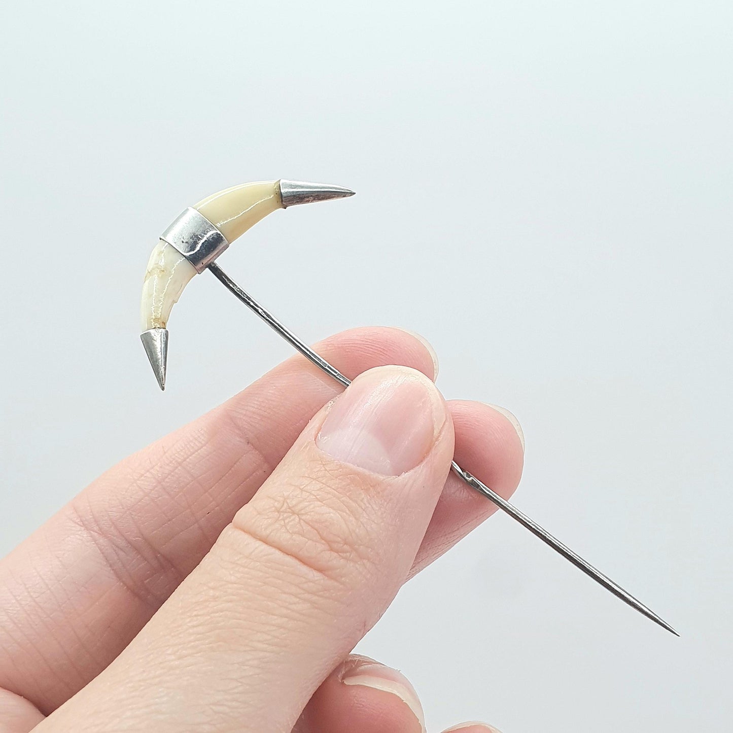 Antique Victorian Solid Silver Tooth Claw Stick Pin Lapel Pin Fang Hunting Unisex Jewelry Jewellery
