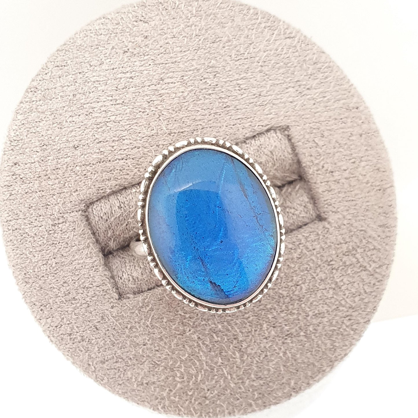 Antique Sterling Silver Butterfly Wing Ring Large Oval TLM Art Deco Genuine Morpho Vintage Blue Womens Jewellery Jewelry