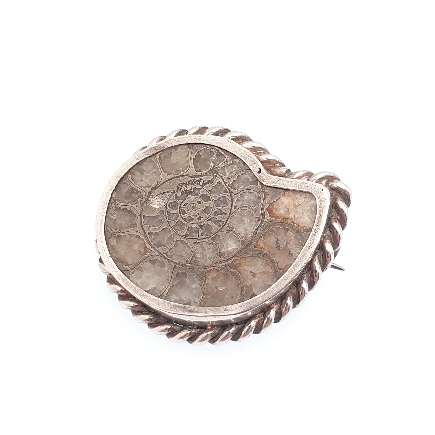 Antique Victorian Ammonite Fossil Brooch Pin Solid Silver Rope Border Curios Unique Ancient Sea Creature Genuine