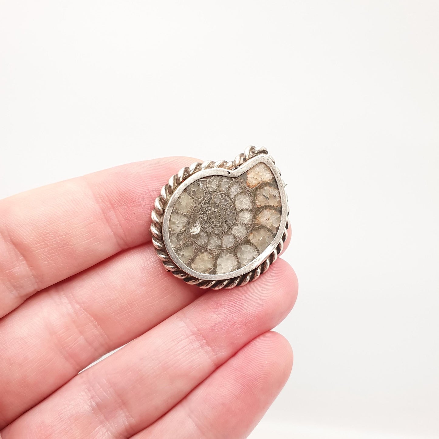 Antique Victorian Ammonite Fossil Brooch Pin Solid Silver Rope Border Curios Unique Ancient Sea Creature Genuine