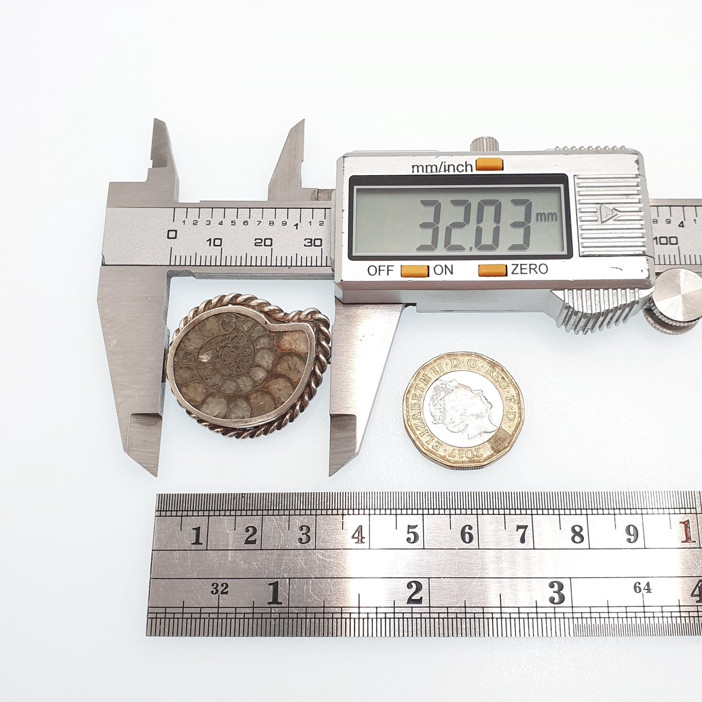 Antique Victorian Ammonite Fossil Brooch Pin Solid Silver Rope Border Curios Unique Ancient Sea Creature Genuine