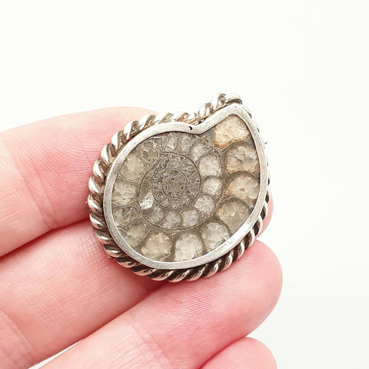 Antique Victorian Ammonite Fossil Brooch Pin Solid Silver Rope Border Curios Unique Ancient Sea Creature Genuine