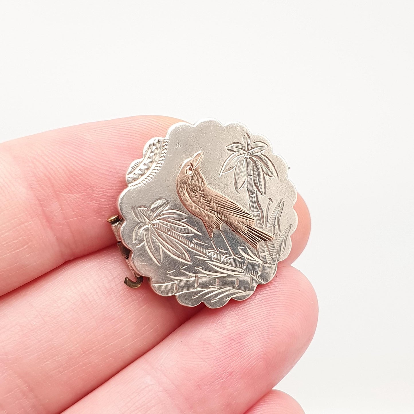 Antique Solid Silver Bird Brooch Mourning Locket Rear Victorian Sweetheart Rose Gold Highlights Vintage Jewelry Jewellery