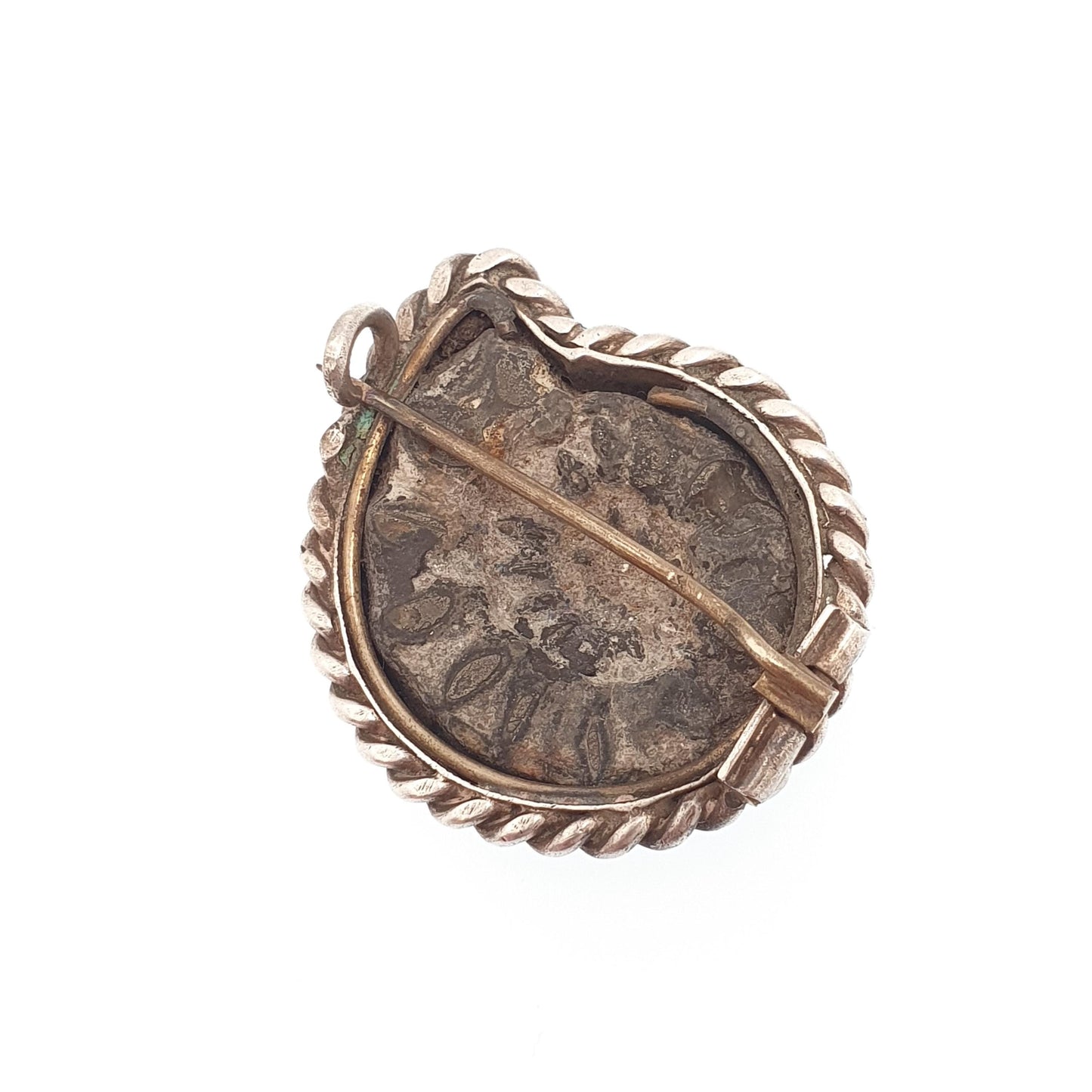 Antique Victorian Ammonite Fossil Brooch Pin Solid Silver Rope Border Curios Unique Ancient Sea Creature Genuine