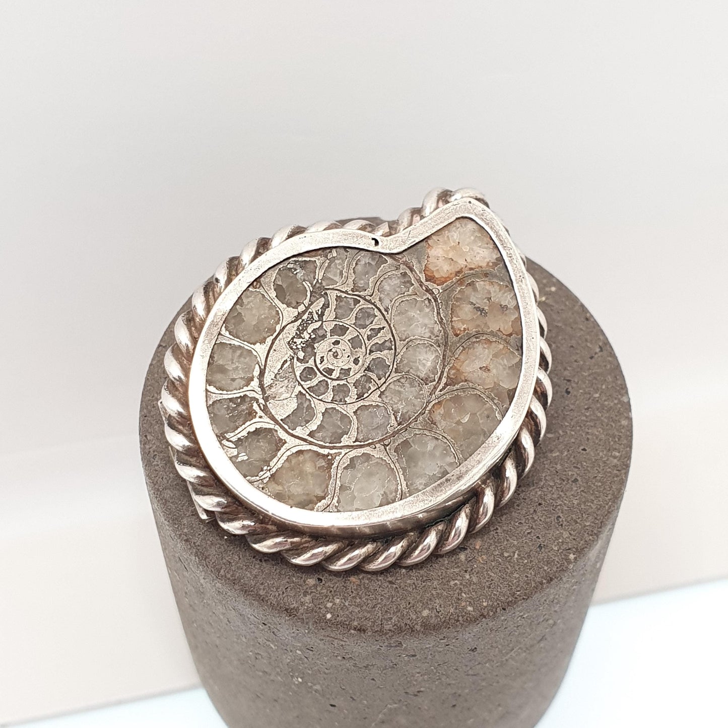 Antique Victorian Ammonite Fossil Brooch Pin Solid Silver Rope Border Curios Unique Ancient Sea Creature Genuine