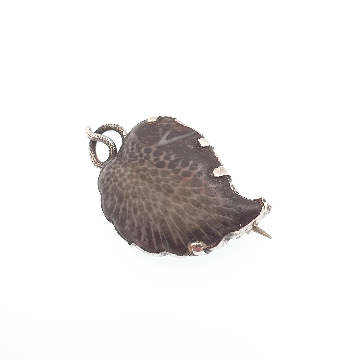 Antique Solid Silver Fossil Leaf Brooch Pin Victorian Curios Unique Ancient Genuine Real Vintage Jewellery Jewelry
