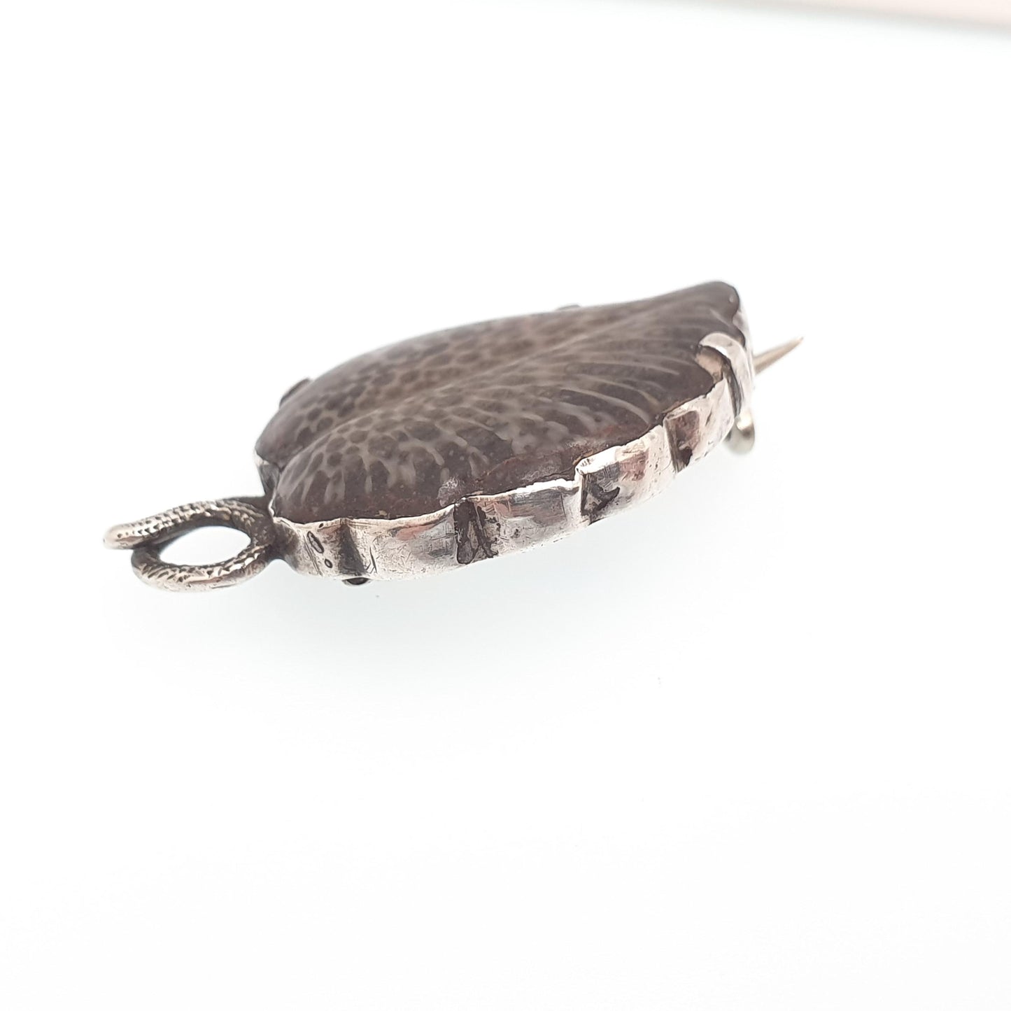 Antique Solid Silver Fossil Leaf Brooch Pin Victorian Curios Unique Ancient Genuine Real Vintage Jewellery Jewelry