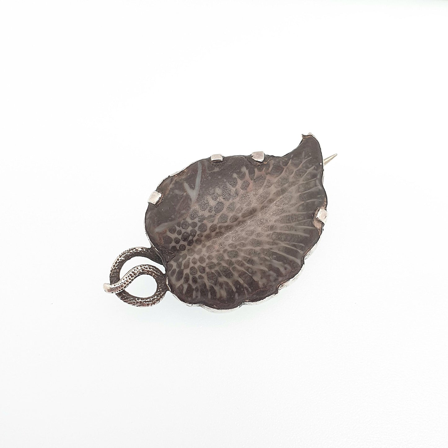 Antique Solid Silver Fossil Leaf Brooch Pin Victorian Curios Unique Ancient Genuine Real Vintage Jewellery Jewelry