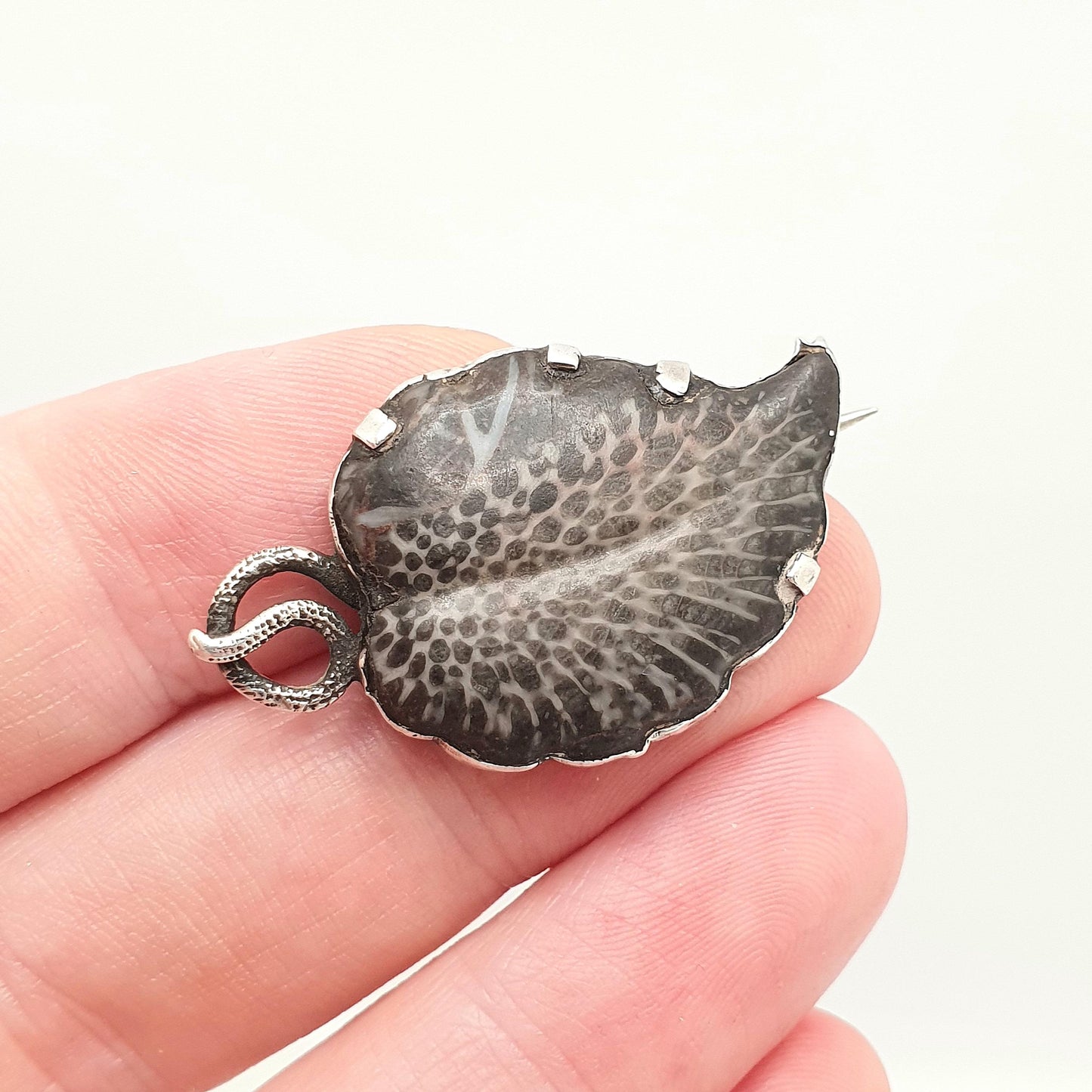 Antique Solid Silver Fossil Leaf Brooch Pin Victorian Curios Unique Ancient Genuine Real Vintage Jewellery Jewelry