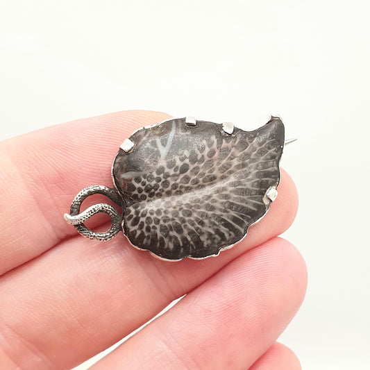 Antique Solid Silver Fossil Leaf Brooch Pin Victorian Curios Unique Ancient Genuine Real Vintage Jewellery Jewelry